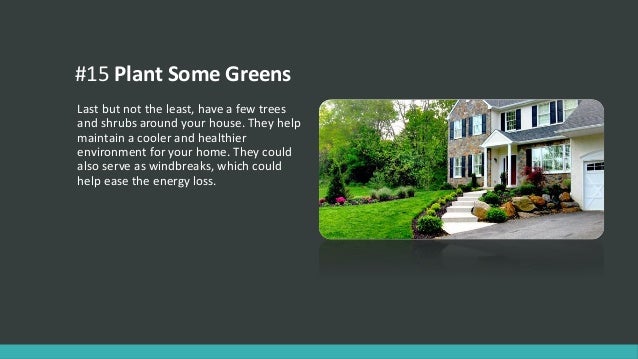 Ideas to help the environment at home Ideas to help the environment at home